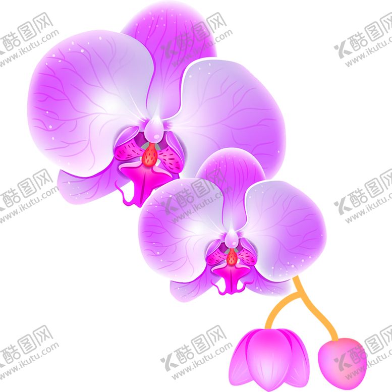 编号：22443905070238547998【酷图网】源文件下载-鲜花素材