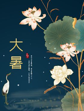 大暑二十四节气海报