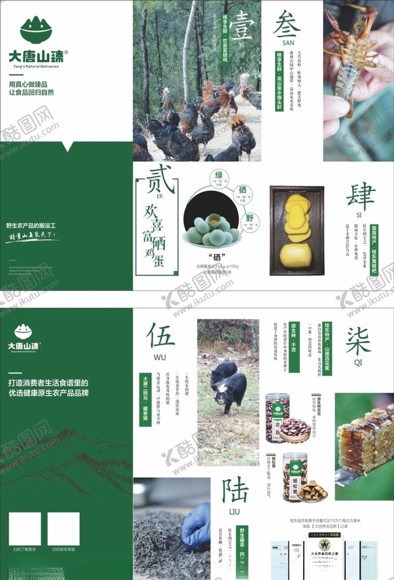 编号：63052109271258041315【酷图网】源文件下载-大唐山臻富晒折页