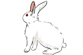 玉兔