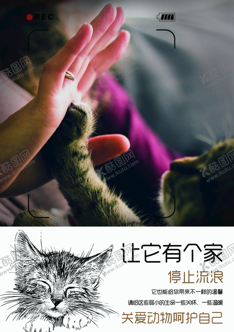 编号：84069709240126257416【酷图网】源文件下载-关爱动物 