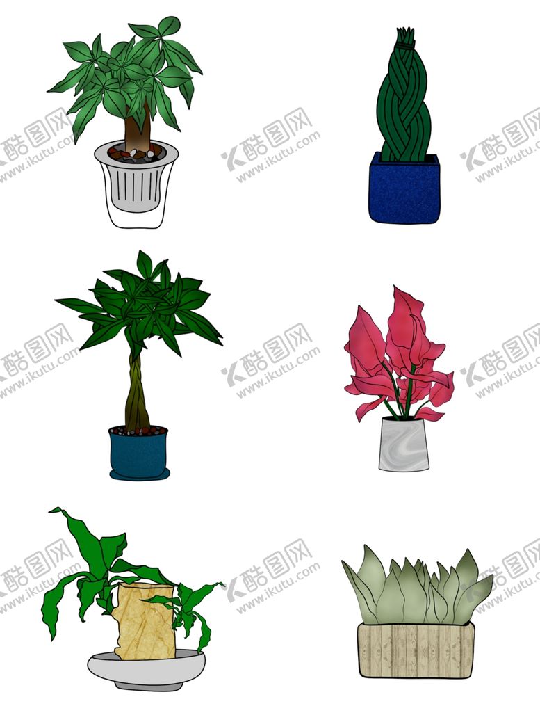 编号：73361706240542455734【酷图网】源文件下载-发财树绿色植物矢量图