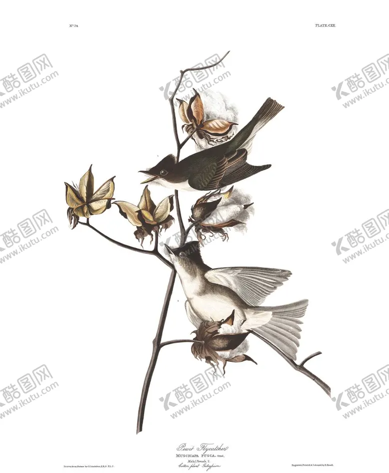 编号：31920712050343087628【酷图网】源文件下载-油画