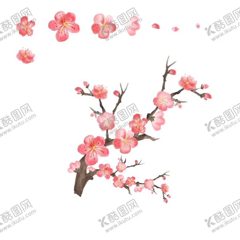 编号：64438612102140316021【酷图网】源文件下载-梅花