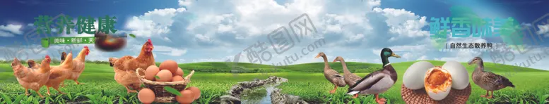编号：95687002031701484583【酷图网】源文件下载-鲜香味美流油咸鸭蛋