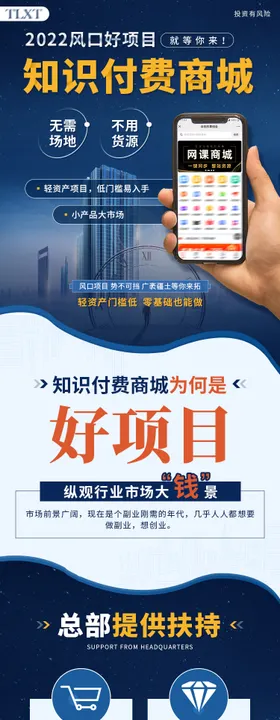 风口项目知识付费商城长图