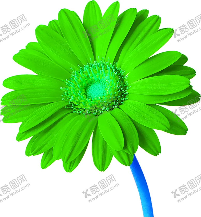编号：79623706151547464777【酷图网】源文件下载-花素材
