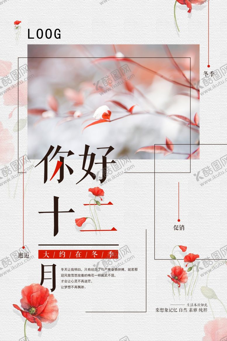 编号：20544307122328185999【酷图网】源文件下载-小清新你好十二月冬天促销海报