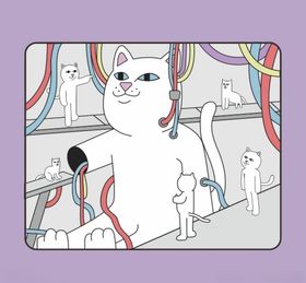 猫咪插画
