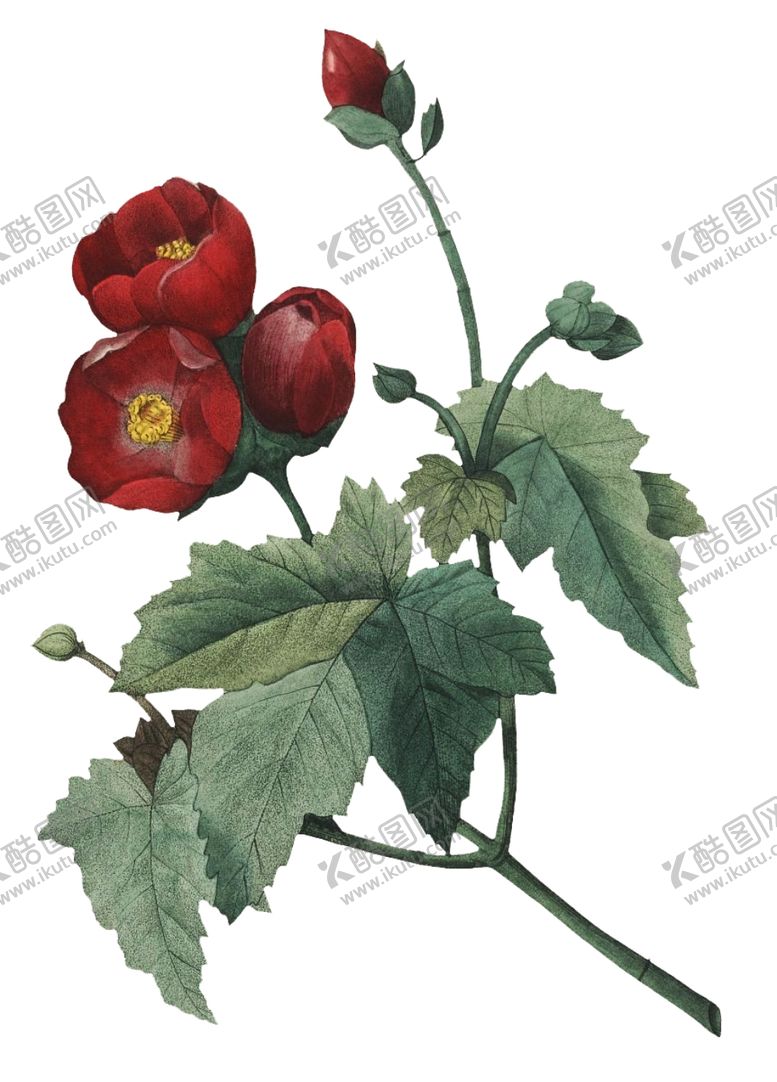 编号：99512609260908222182【酷图网】源文件下载-复古花