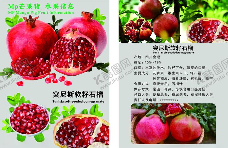 编号：44004402202038179422【酷图网】源文件下载-突尼斯软籽石榴