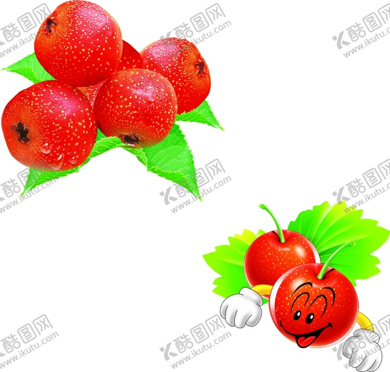 编号：99414507061840579903【酷图网】源文件下载-山楂