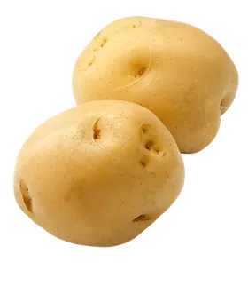 土豆