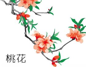 桃花