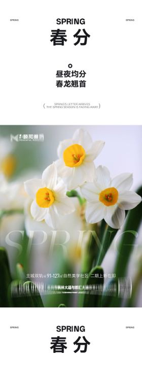 龙抬头春分节日节气海报春天