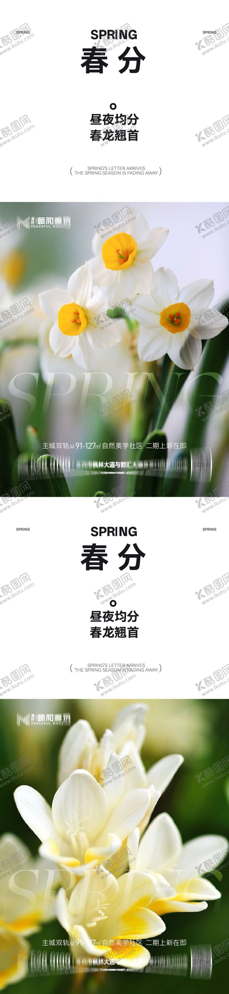 编号：88513903180206583752【酷图网】源文件下载-龙抬头春分节日节气海报春天