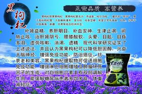 长白山黑枸杞