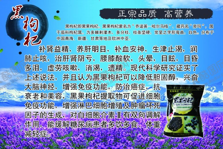 编号：27866406261259238899【酷图网】源文件下载-长白山黑枸杞