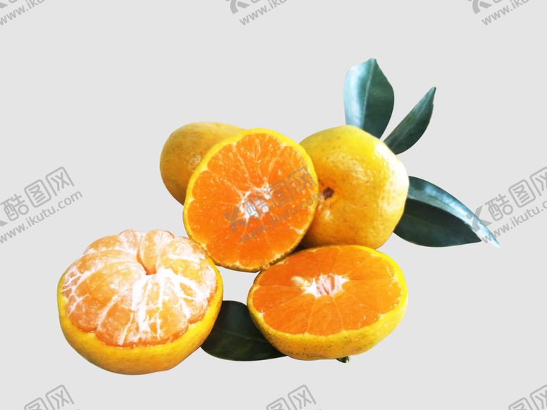 编号：52205507020634598882【酷图网】源文件下载-蜜桔切面