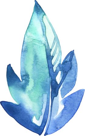 花朵花卉植物手绘插画