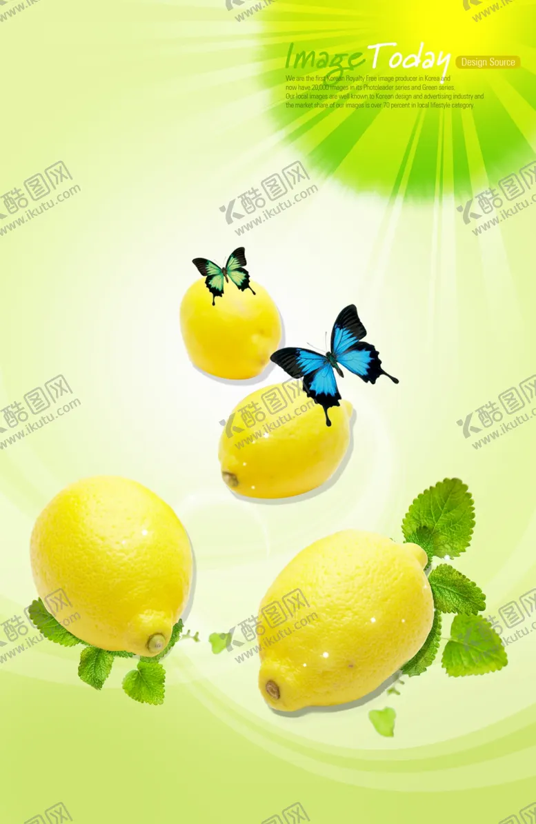 编号：43322804201828564927【酷图网】源文件下载-水果素材果盘新鲜水果水