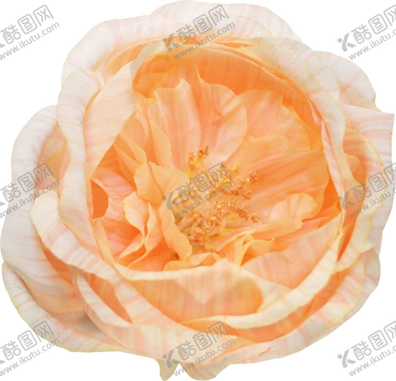 编号：99007309120105219679【酷图网】源文件下载-复古花朵植物图案