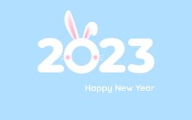 新年快乐拜云兔吉祥