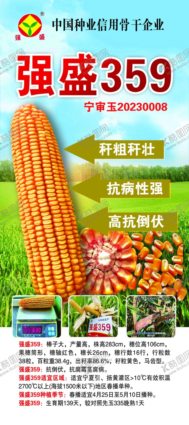 编号：39888204022232557440【酷图网】源文件下载-农业玉米展架