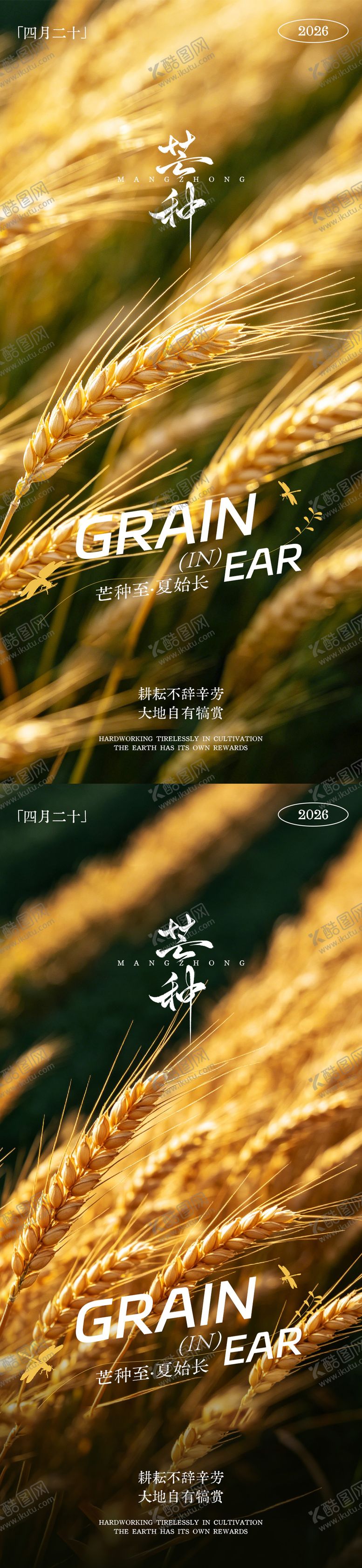 编号：69404505240212143237【酷图网】源文件下载-芒种节气地产海报设计