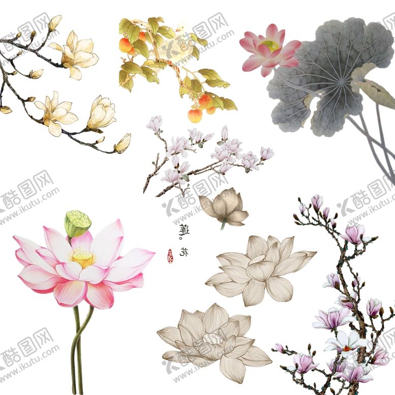编号：90178609290541528304【酷图网】源文件下载-工笔荷花