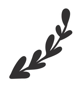 手绘植物叶片