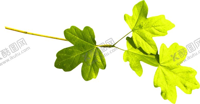 编号：16692509270056548062【酷图网】源文件下载-浪漫素材