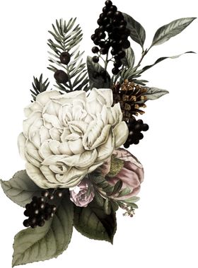 装饰花png