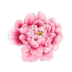 中国古风传统图案