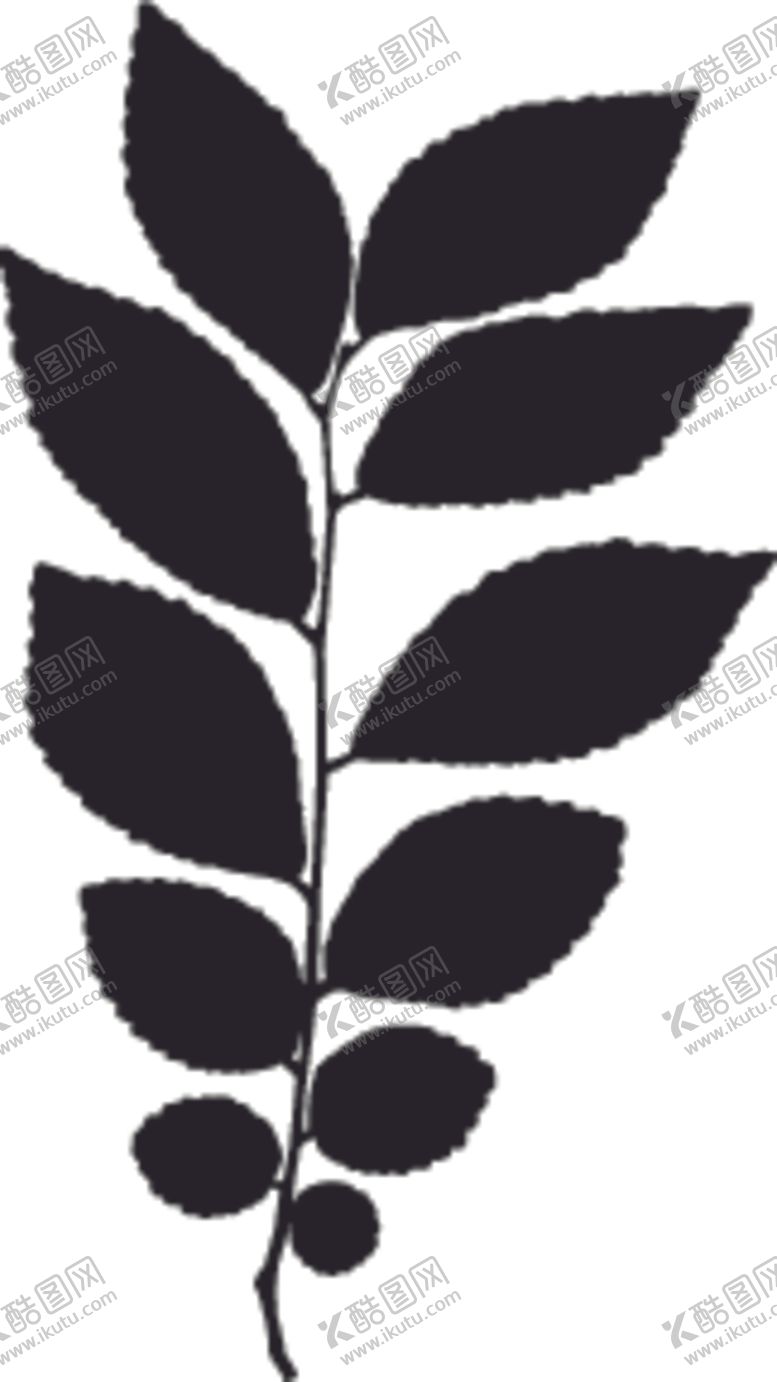 编号：40520310042009487582【酷图网】源文件下载-植物系列树叶