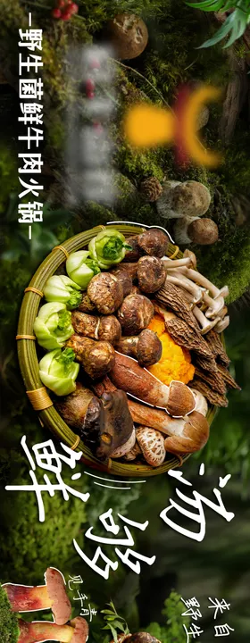 夏季菌子五图