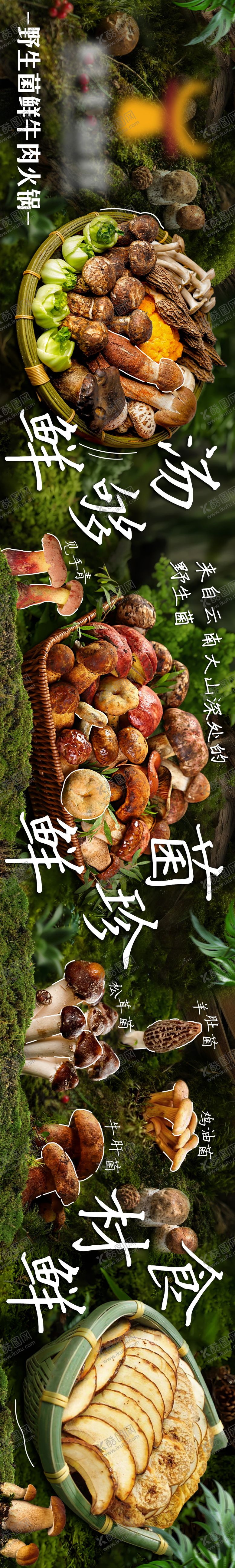 编号：22882107261630019081【酷图网】源文件下载-夏季菌子五图