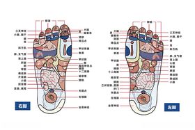 足部穴位图