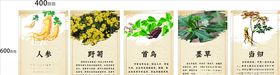 中草药简介