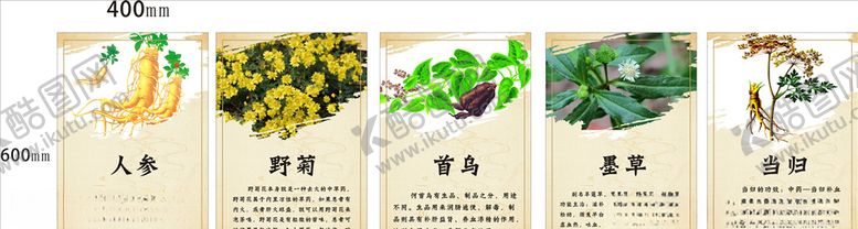 编号：51787505020345595339【酷图网】源文件下载-中草药简介