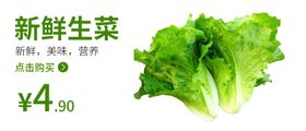 生菜食品海报蔬菜蔬菜海报