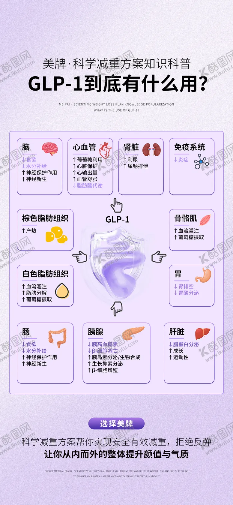 编号：94848306231440338221【酷图网】源文件下载-医美科普