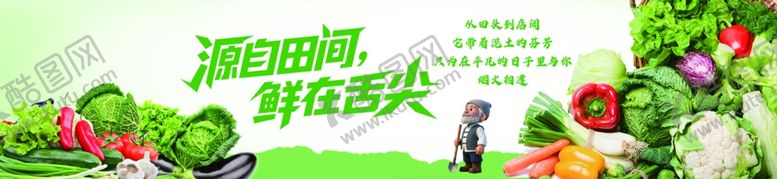 编号：35398505241209569078【酷图网】源文件下载-绿色蔬菜开启健康生活