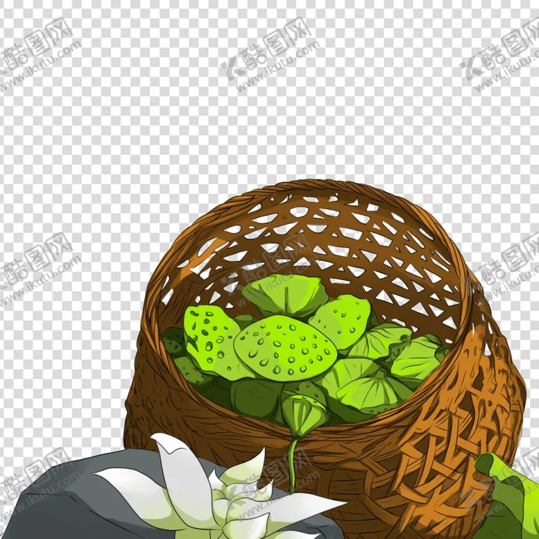编号：42707102070830384008【酷图网】源文件下载-荷花 莲花 