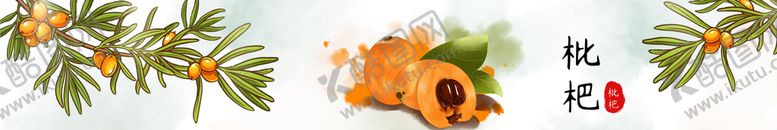 编号：47253109201206391064【酷图网】源文件下载-枇杷墙面