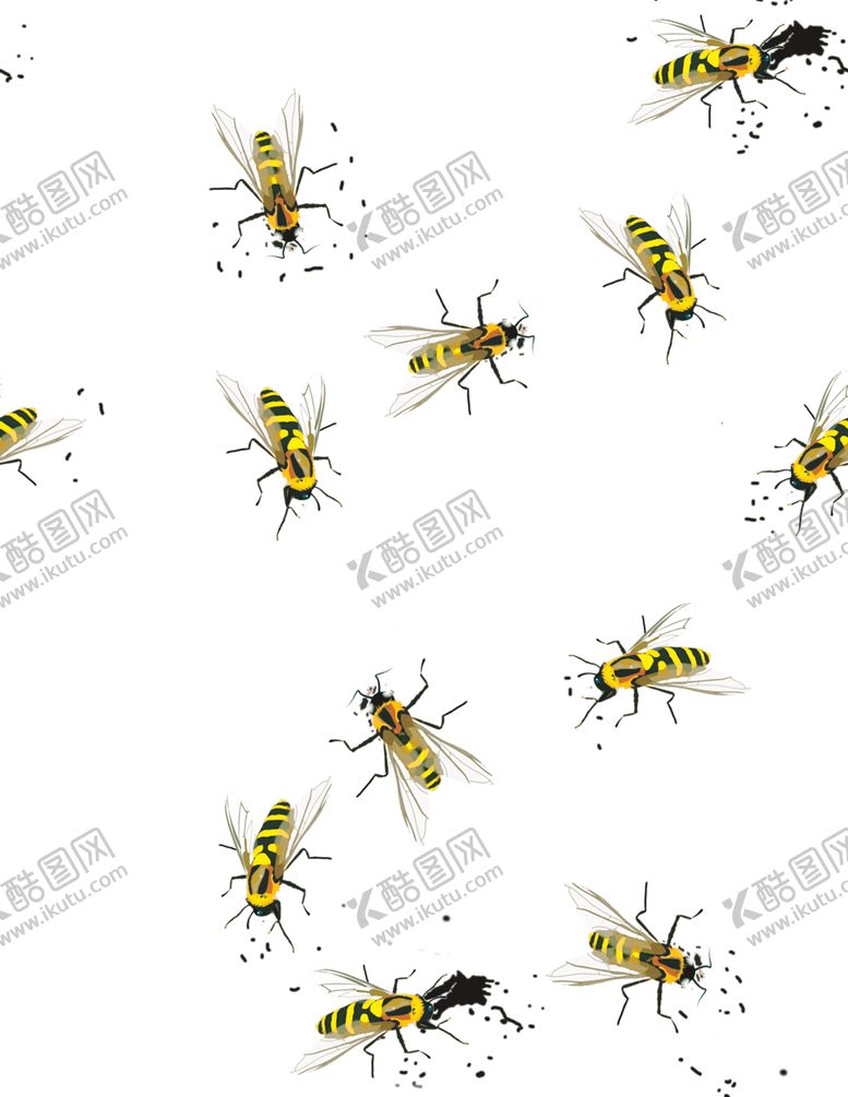 编号：81134607141243051152【酷图网】源文件下载-蜜蜂