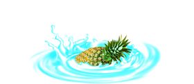 菠萝素材元素
