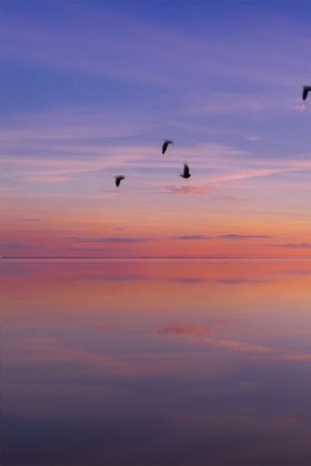 夕阳湖泊木桥