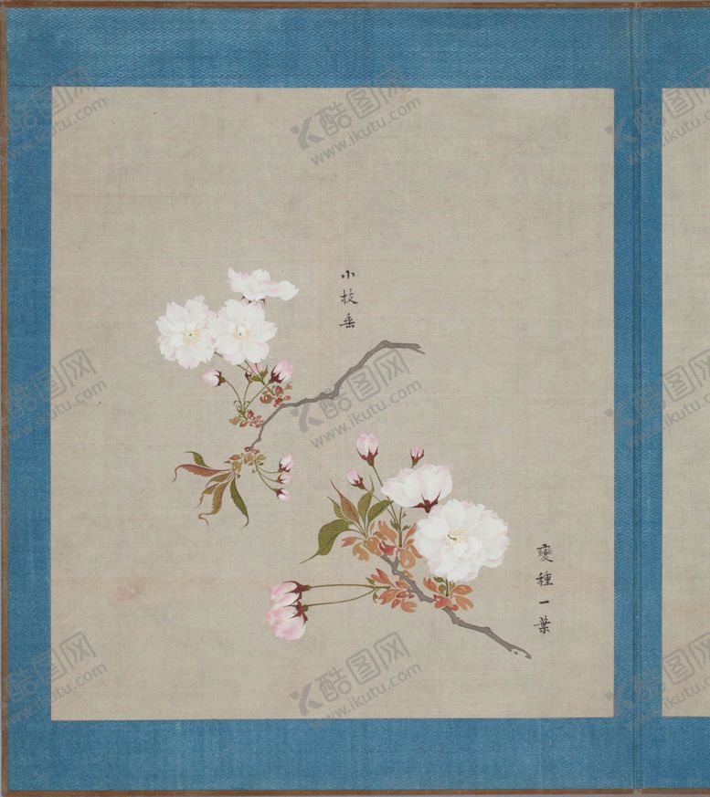 编号：51680304101308282209【酷图网】源文件下载-樱花