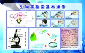 生物实验室